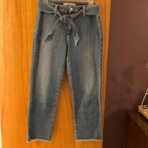 JOES jeans The Jane high rise straight crop. EUC size 28